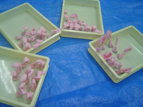 最新のアルバム