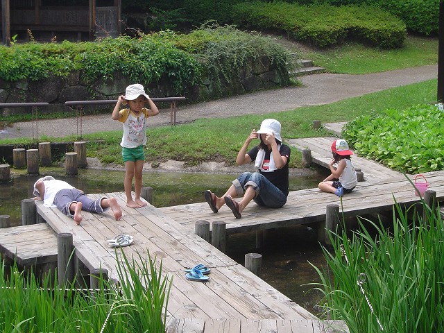 最新のアルバム