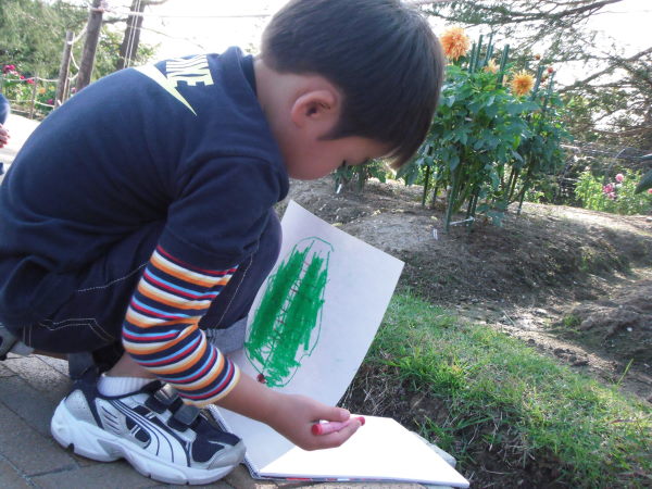 最新のアルバム