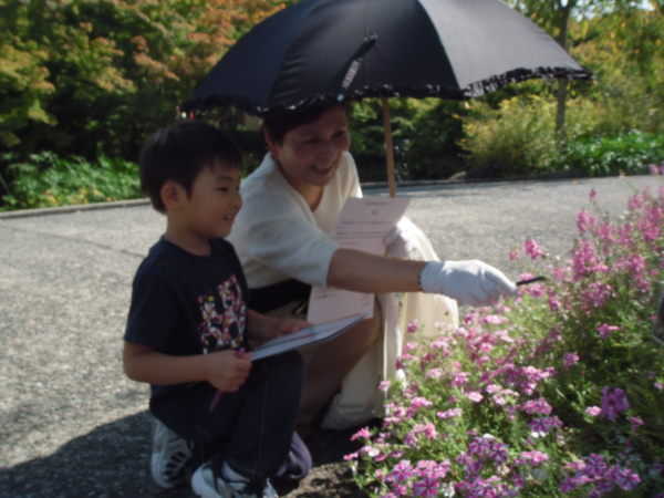 最新のアルバム