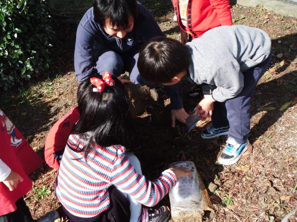 最新のアルバム