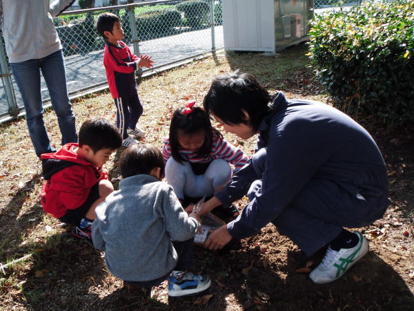 最新のアルバム