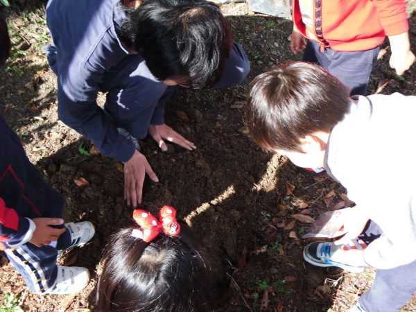 最新のアルバム