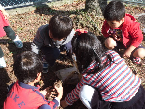 最新のアルバム