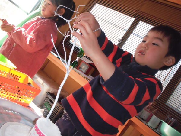 最新のアルバム