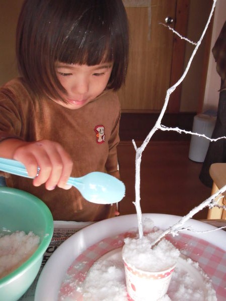 最新のアルバム