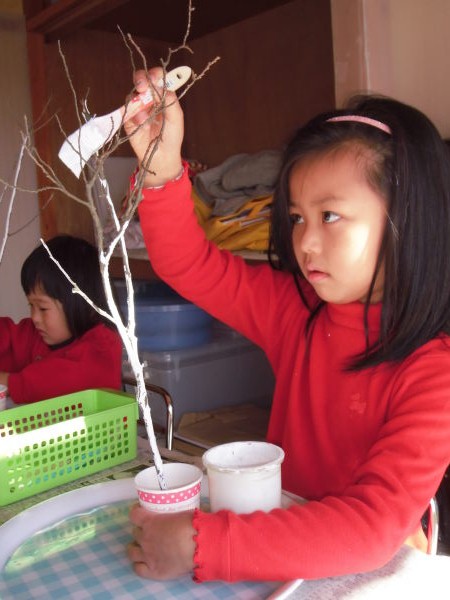 最新のアルバム