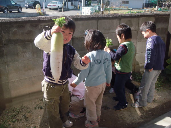 最新のアルバム