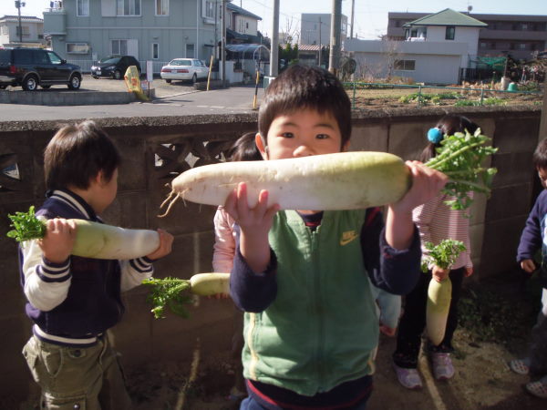最新のアルバム