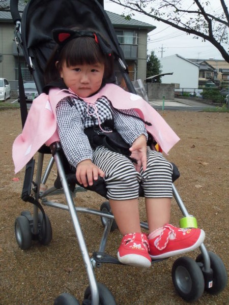 最新のアルバム