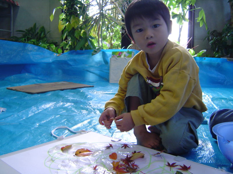 最新のアルバム