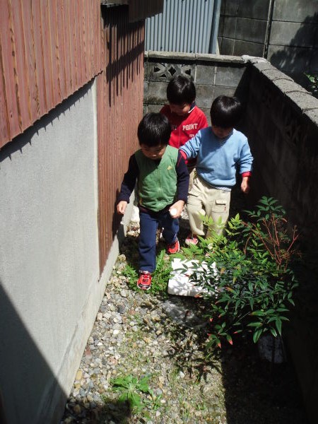 最新のアルバム