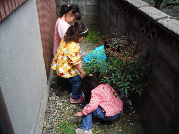 最新のアルバム