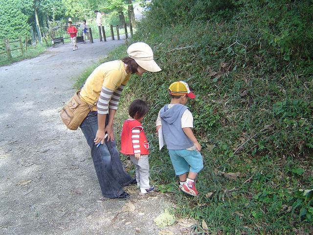 最新のアルバム