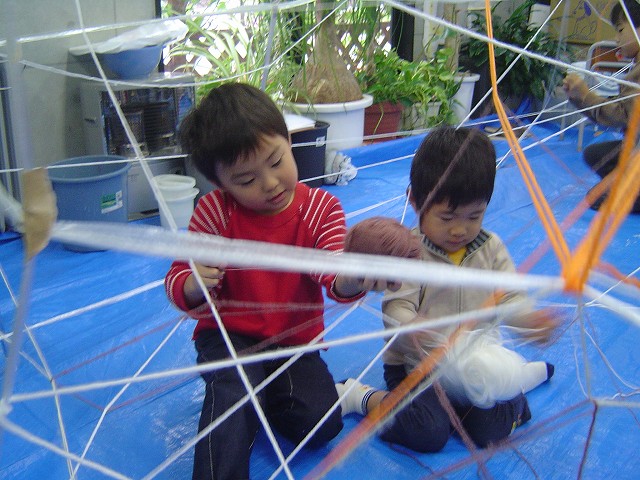 最新のアルバム