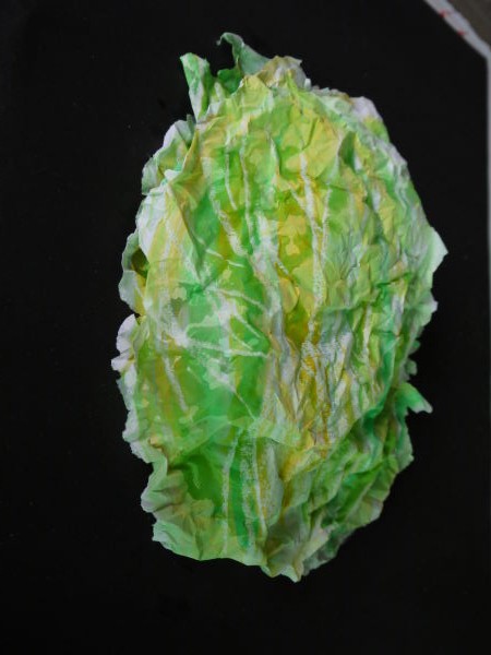 最新のアルバム