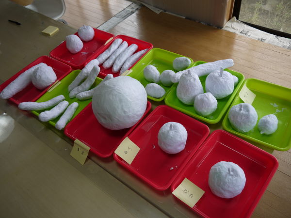 最新のアルバム