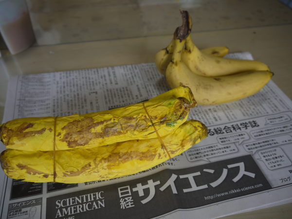 最新のアルバム