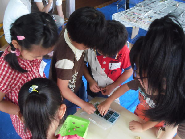 最新のアルバム