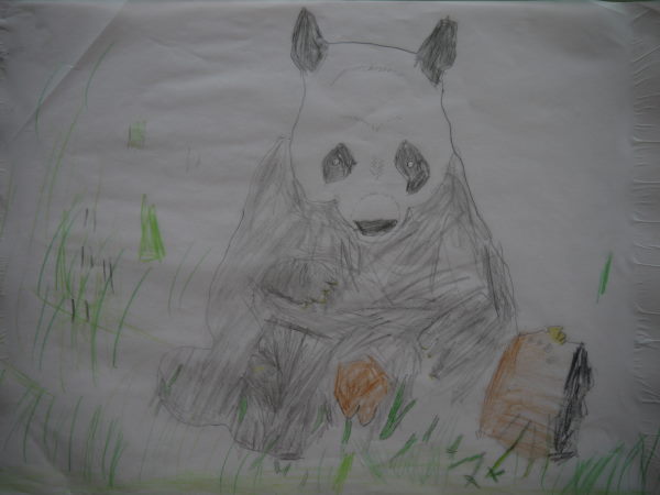 最新のアルバム