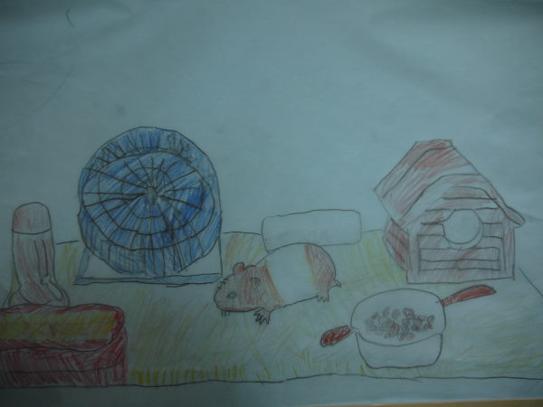 最新のアルバム