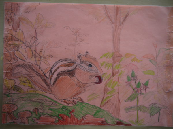 最新のアルバム