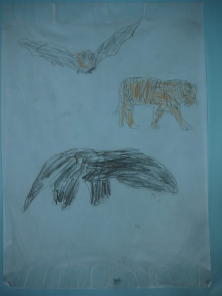 最新のアルバム