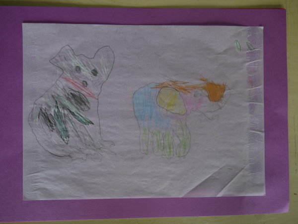 最新のアルバム