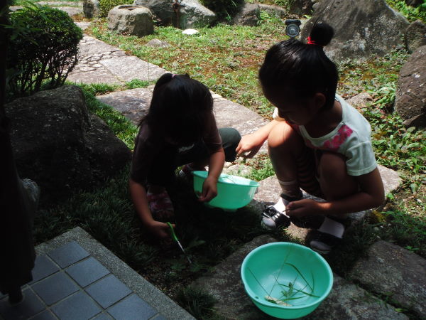 最新のアルバム