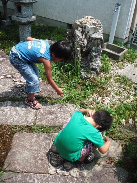 最新のアルバム