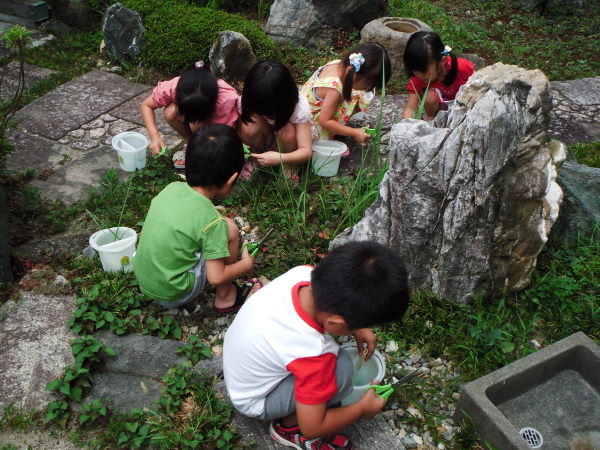 最新のアルバム