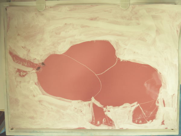 最新のアルバム