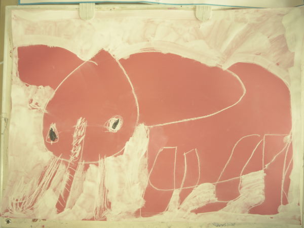 最新のアルバム