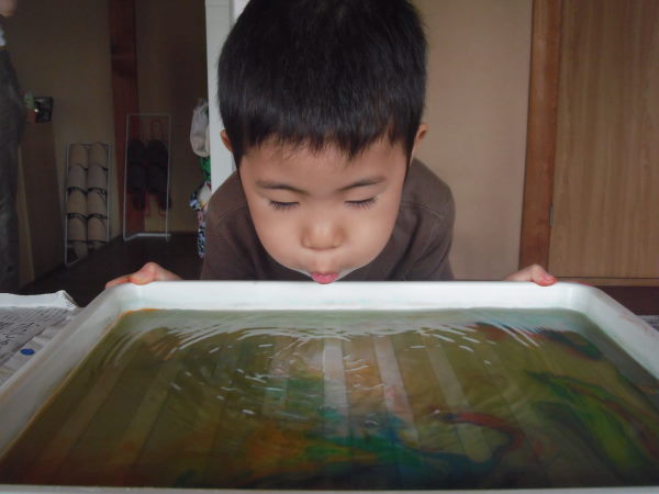 最新のアルバム