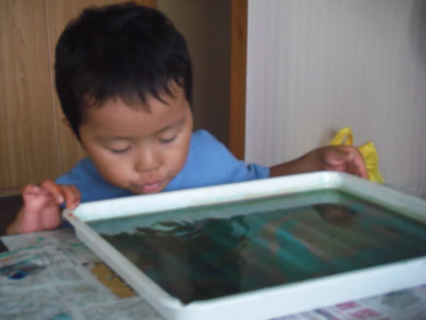 最新のアルバム