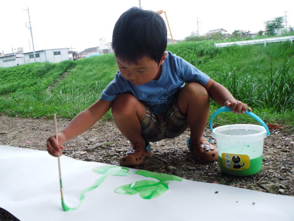 最新のアルバム