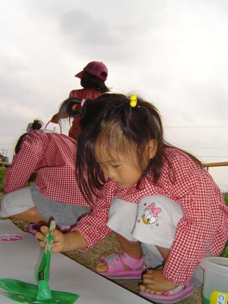 最新のアルバム