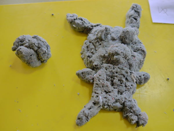 最新のアルバム