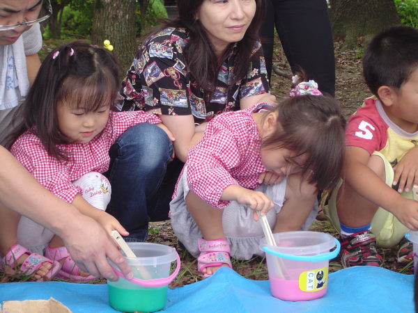 最新のアルバム