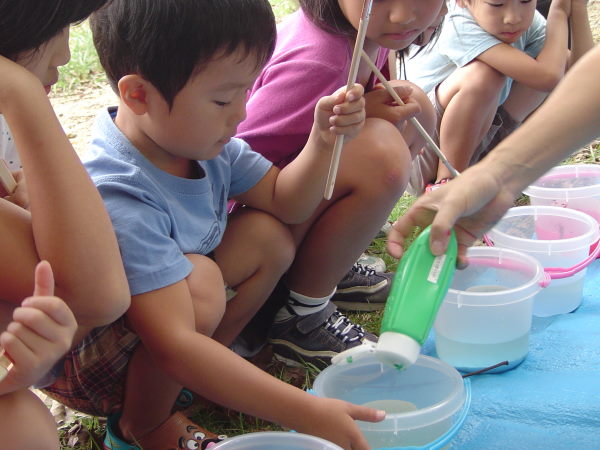 最新のアルバム