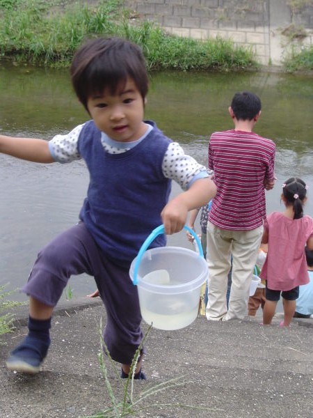 最新のアルバム