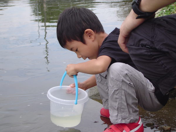 最新のアルバム