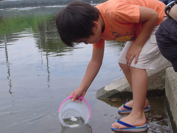 最新のアルバム