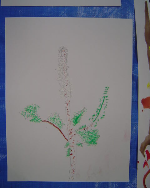 最新のアルバム