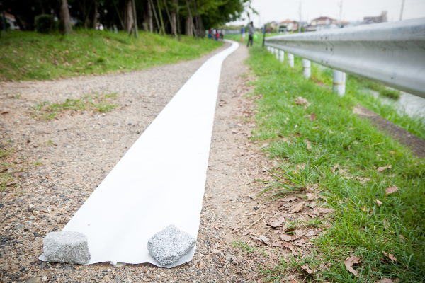 最新のアルバム