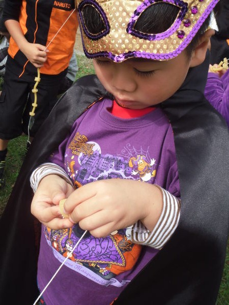 最新のアルバム