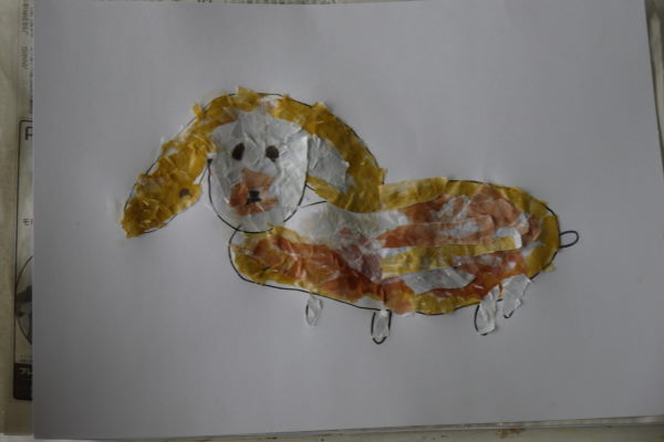 最新のアルバム