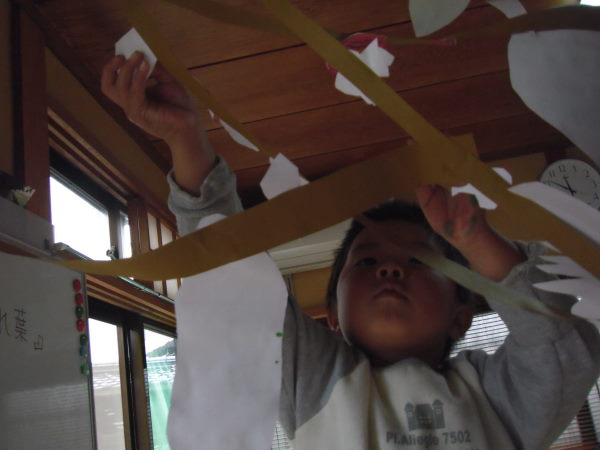 最新のアルバム