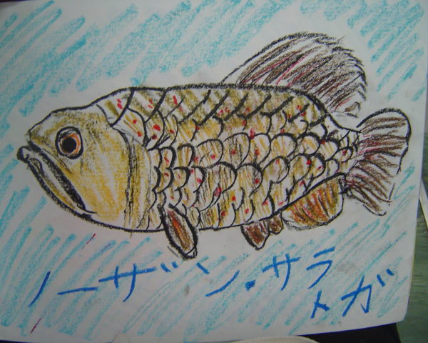 最新のアルバム