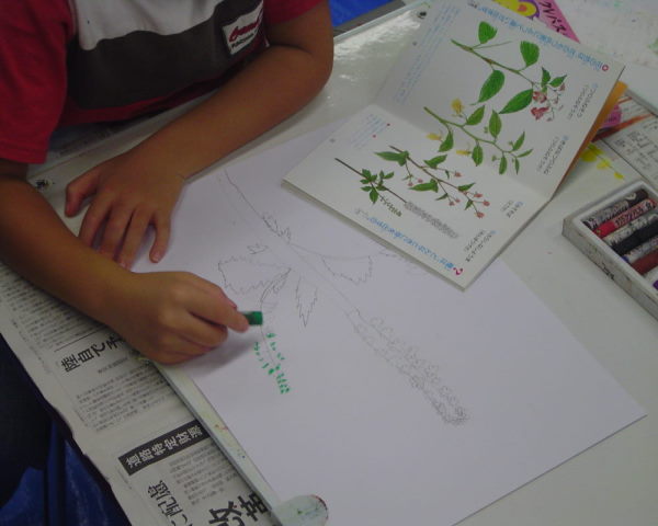 最新のアルバム